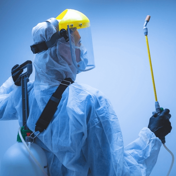 Antibakteriyel Temizlik: Gerçekten Gerekli mi? : Kapak Görseli